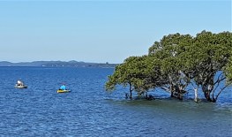 Kayaking at Thompson's Beach