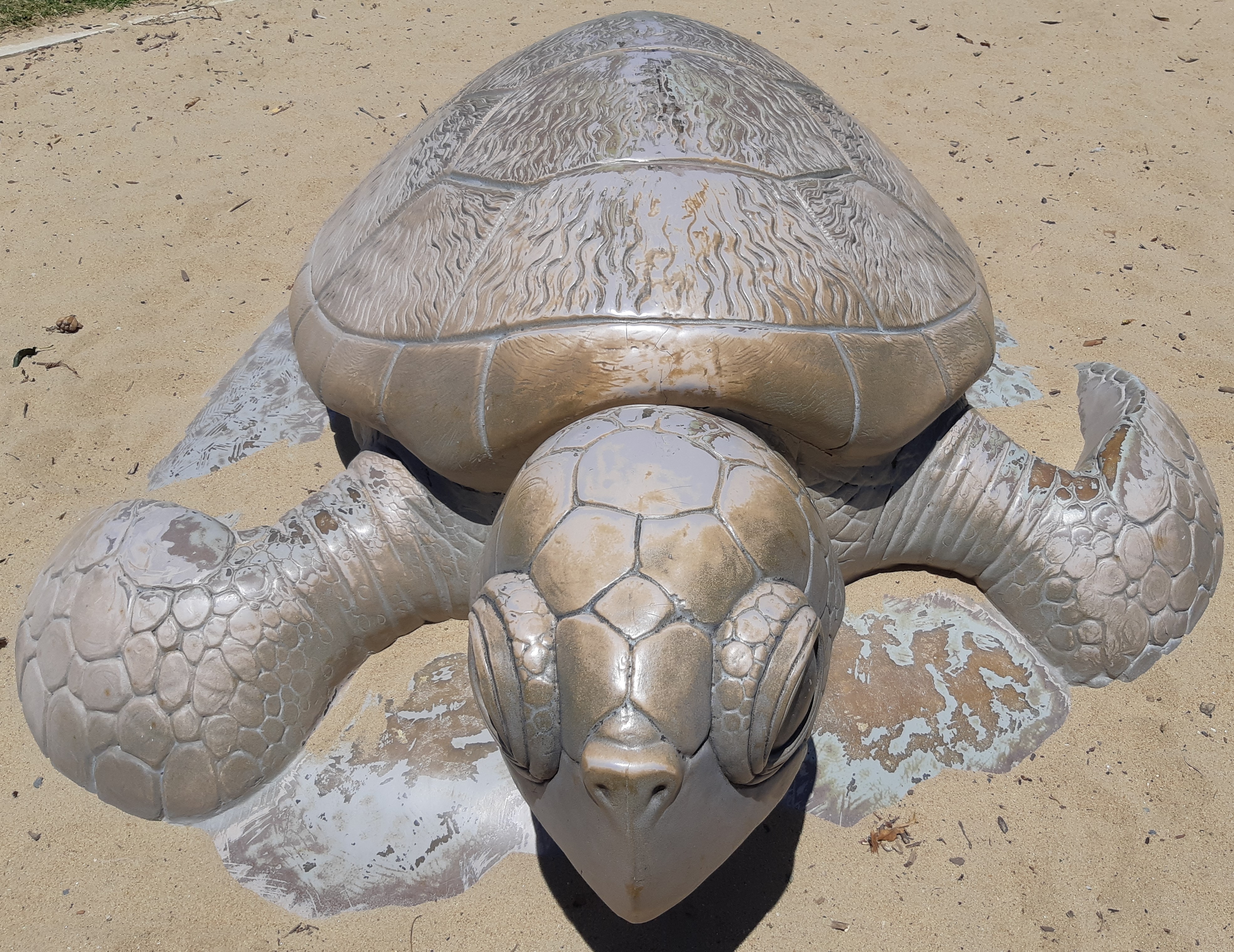 Giant Turtle @The Playground