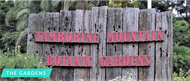 Tamborine Mountain Botanic Gardens