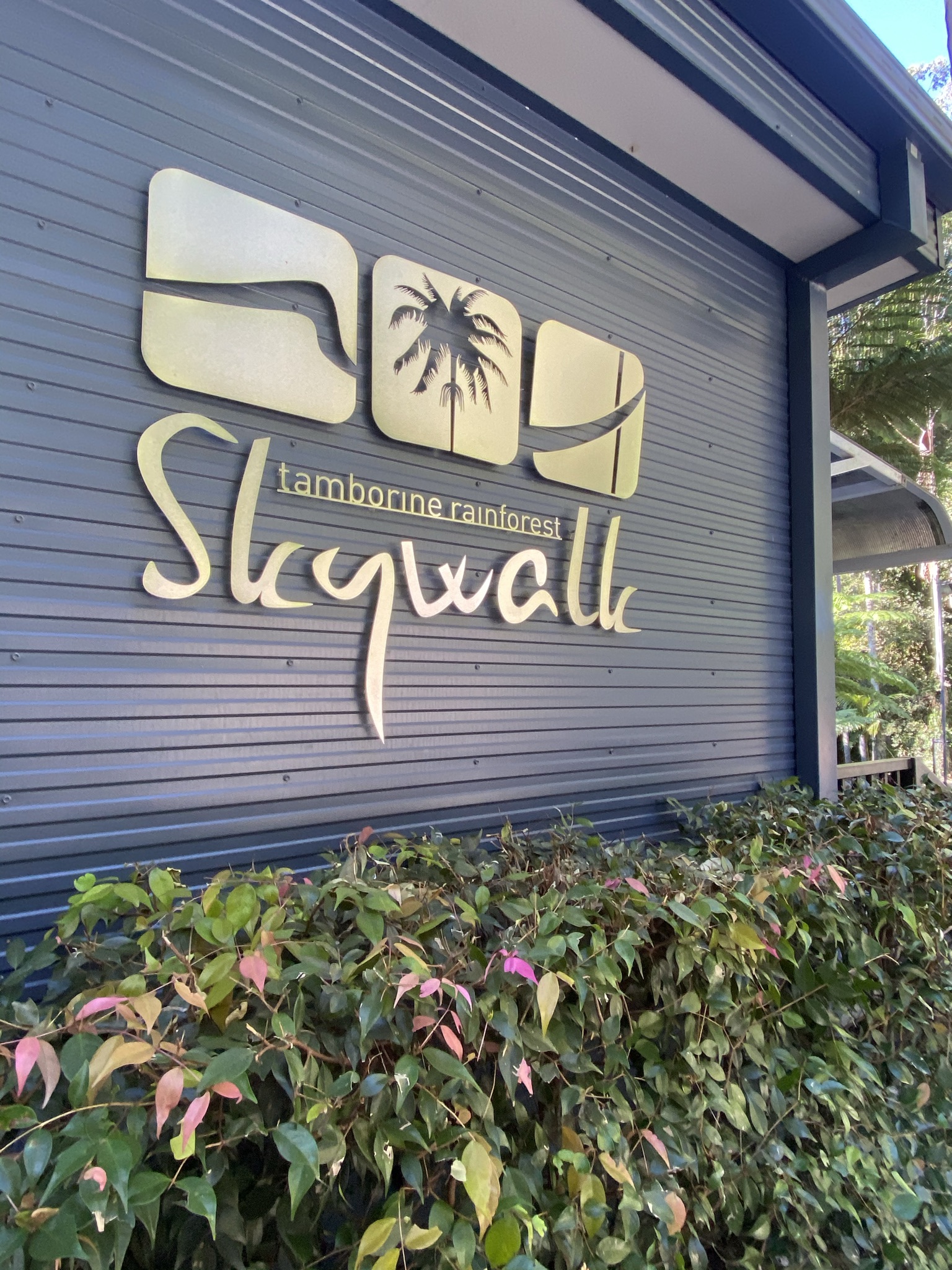 Tamborine Rainforest Skywalk