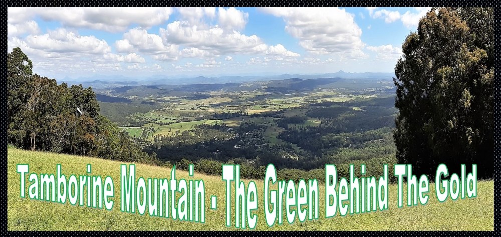 Tamborine Mountain – The Green Behind The&nbsp;Gold