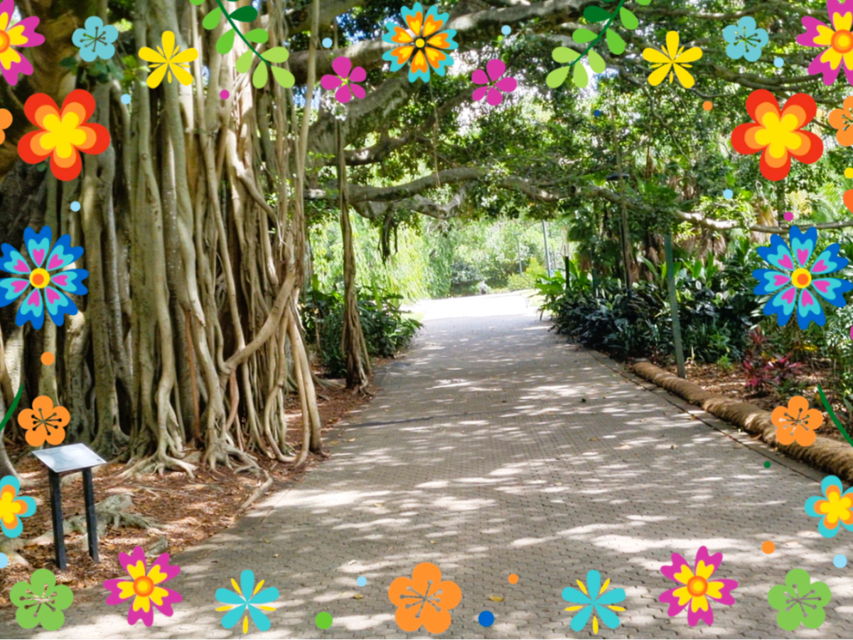The Ultimate Guide to Exploring Brisbane’s City Botanic Gardens +&nbsp;🚶‍♂️📽️