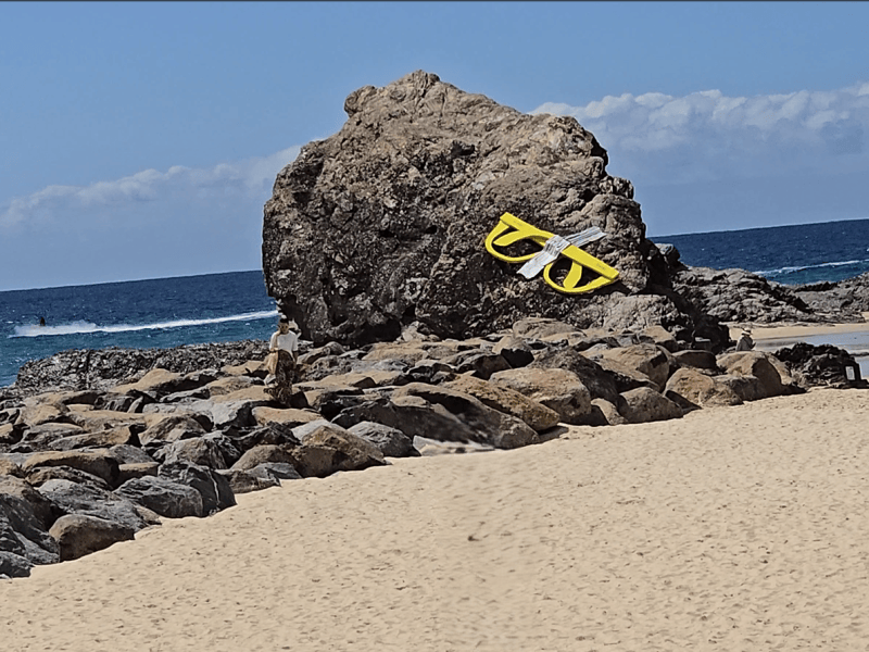 Currumbin Beach Day Trip: Creek, Alley, Lookouts &&nbsp;Wildlife